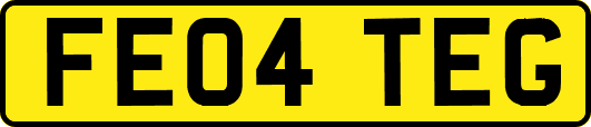 FE04TEG