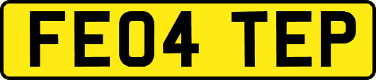 FE04TEP