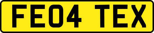 FE04TEX