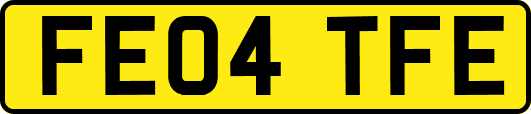 FE04TFE