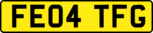 FE04TFG