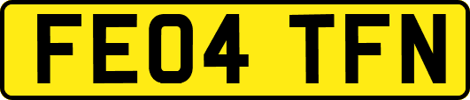 FE04TFN