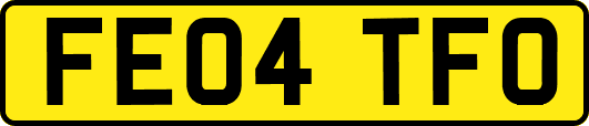 FE04TFO