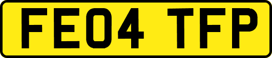 FE04TFP