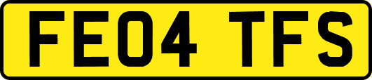 FE04TFS
