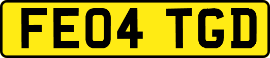 FE04TGD
