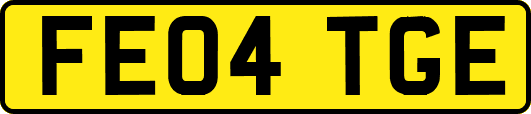 FE04TGE