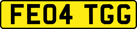 FE04TGG