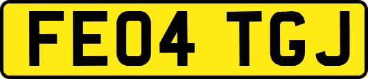 FE04TGJ