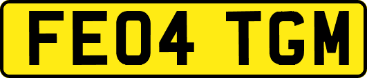 FE04TGM