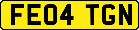 FE04TGN