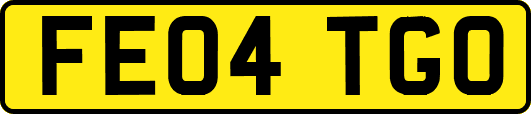 FE04TGO