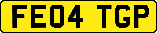 FE04TGP