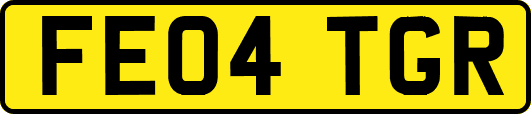 FE04TGR