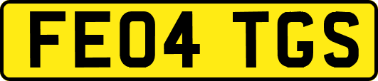 FE04TGS