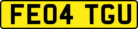 FE04TGU