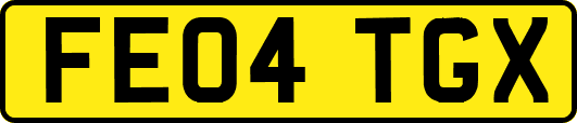 FE04TGX
