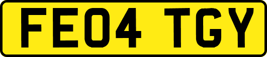 FE04TGY