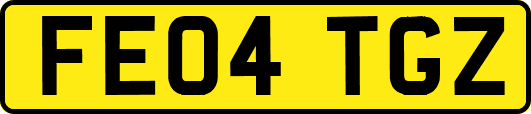 FE04TGZ