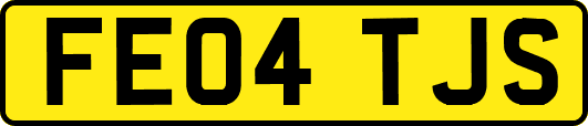 FE04TJS