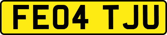 FE04TJU