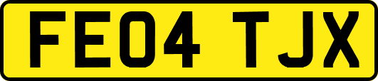 FE04TJX