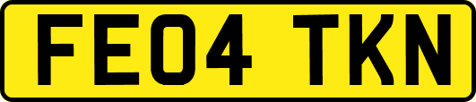 FE04TKN
