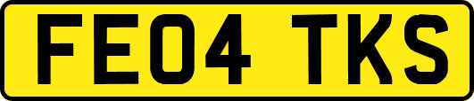 FE04TKS