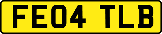 FE04TLB