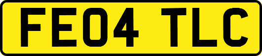 FE04TLC