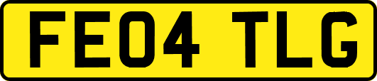 FE04TLG