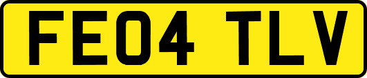 FE04TLV