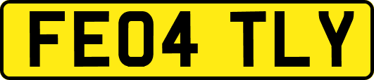 FE04TLY