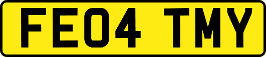 FE04TMY