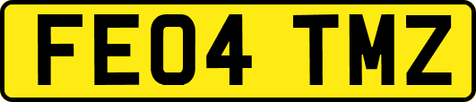 FE04TMZ