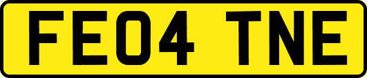 FE04TNE