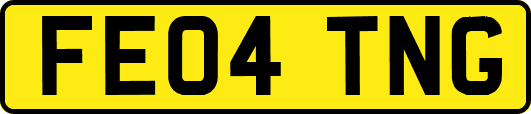 FE04TNG