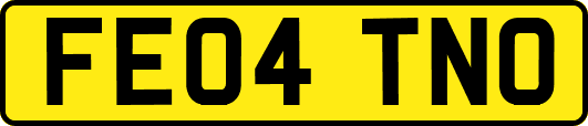 FE04TNO