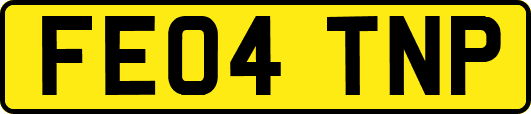 FE04TNP