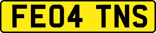 FE04TNS