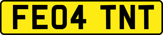 FE04TNT