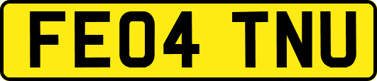 FE04TNU