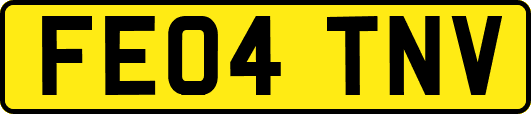 FE04TNV