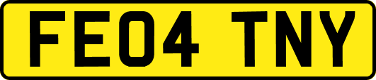 FE04TNY