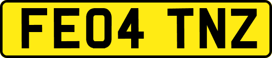 FE04TNZ