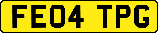 FE04TPG