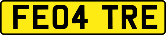 FE04TRE