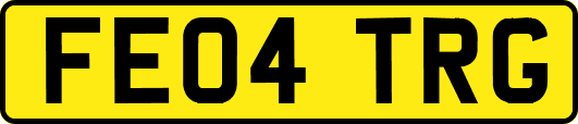 FE04TRG