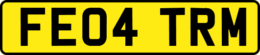 FE04TRM