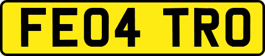 FE04TRO